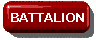 Battalion Organization